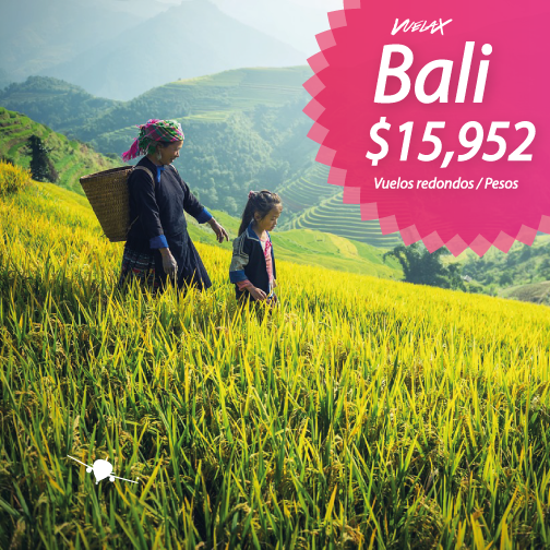 Puñalada Adicto Mentor CDMX a Bali, Indonesia – $15,952! | Vuelax