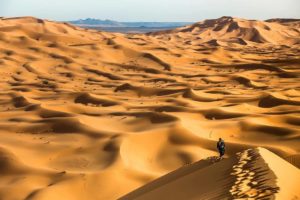 Paseo por las dunas